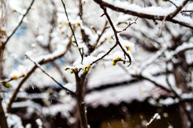 高度重视